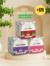 Grow Kits - Edible Flowers, Pizza & Indian Flavours (Pack of 3)