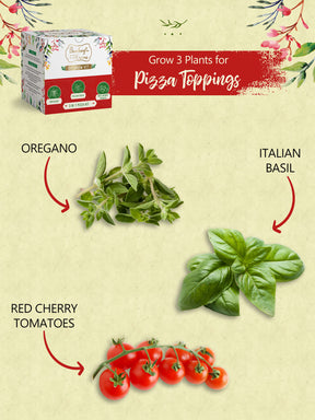 Grow Kits - Edible Flowers, Pizza & Indian Flavours (Pack of 3)