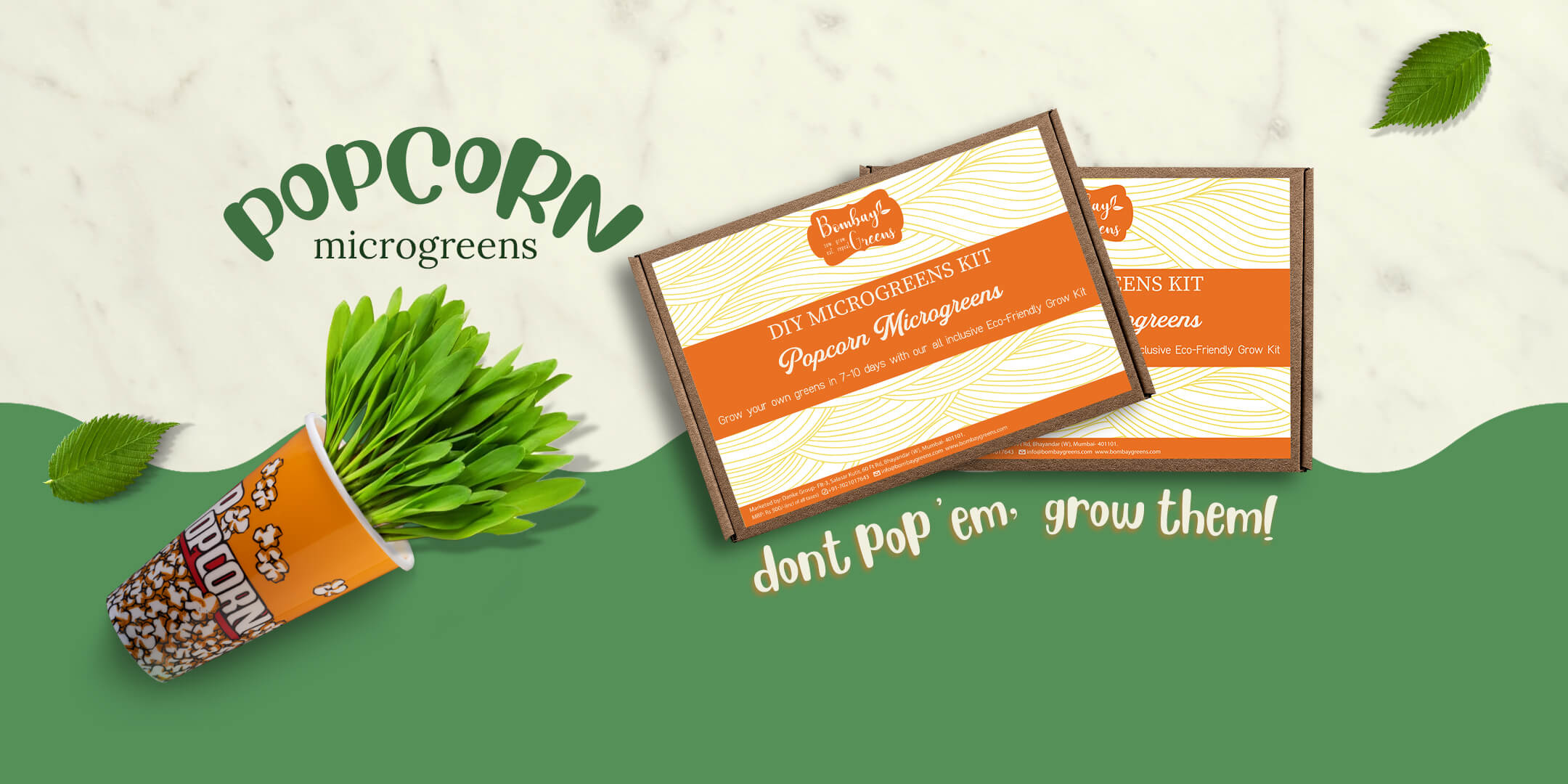 Popcorn Microgreens