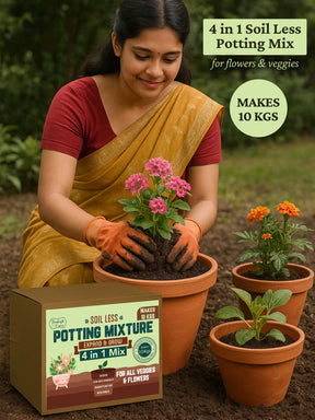 Potting Mix Online