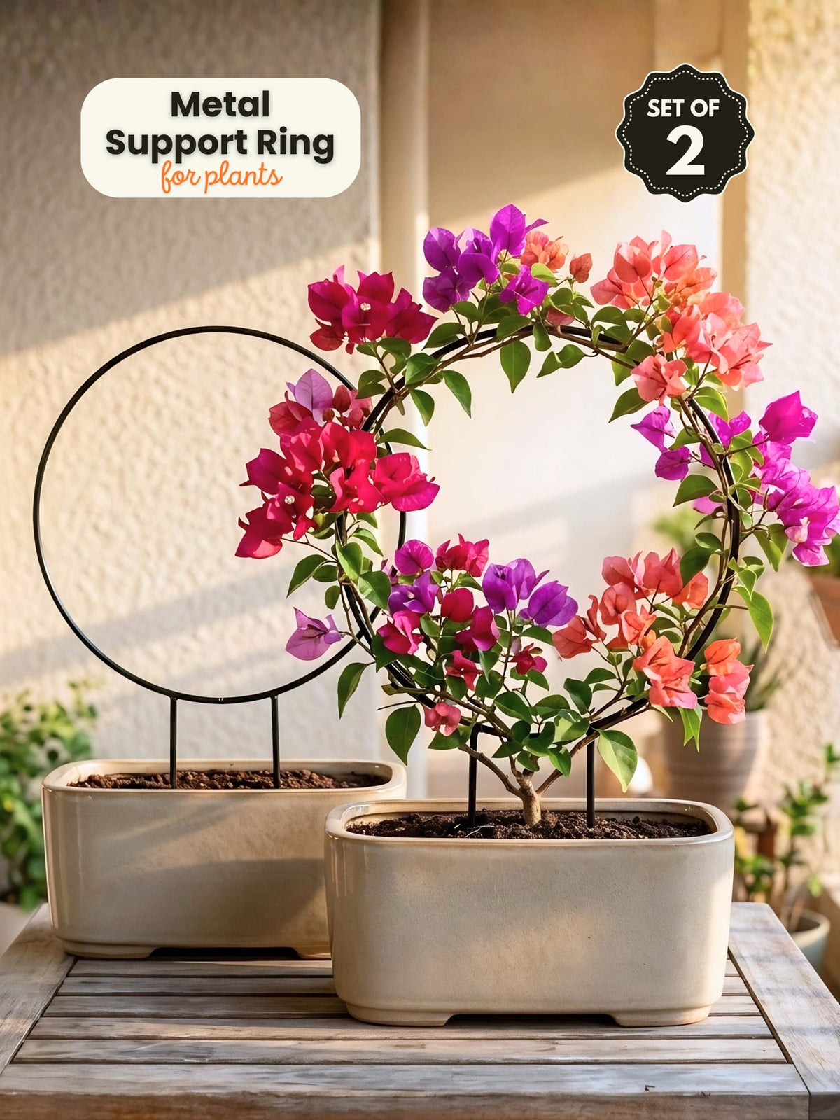 Round Metal Support Ring for Plants - Set of 2