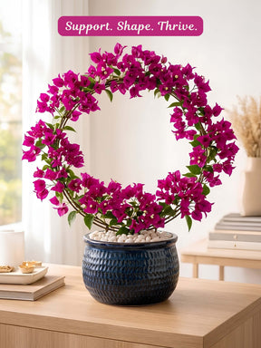 Round Metal Support Ring for Plants - Set of 2