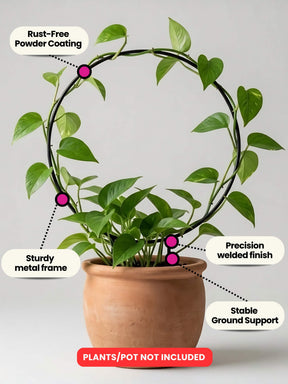 Round Metal Support Ring for Plants - Set of 2