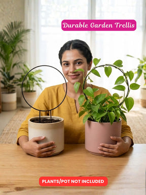 Round Metal Support Ring for Plants - Set of 2
