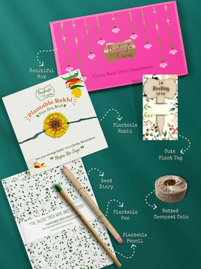 Seeds Rakhi Gift Hamper - (Yellow Blossom + Seeds Diary)