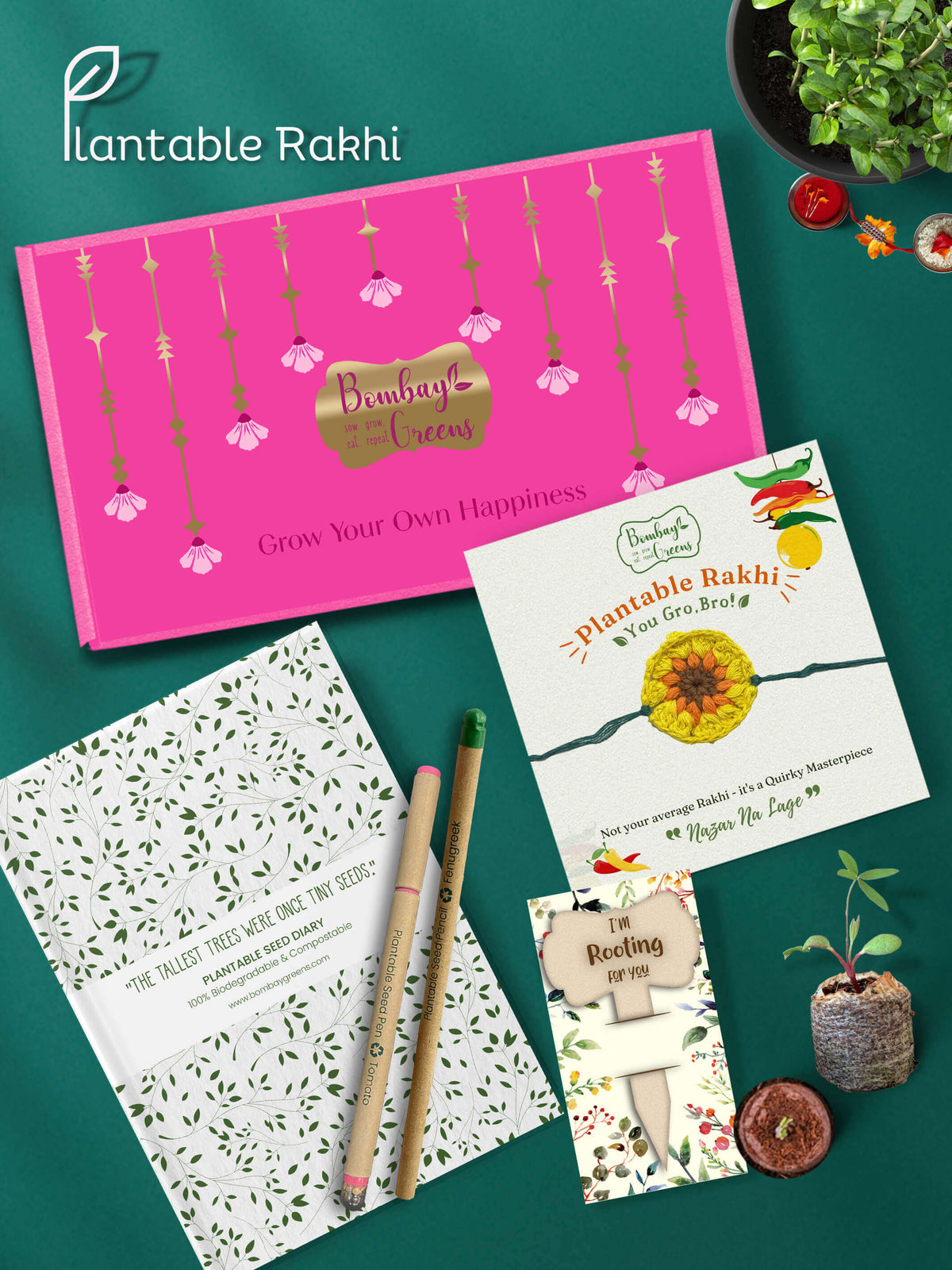 Seeds Rakhi Gift Hamper - (Yellow Blossom + Seeds Diary)