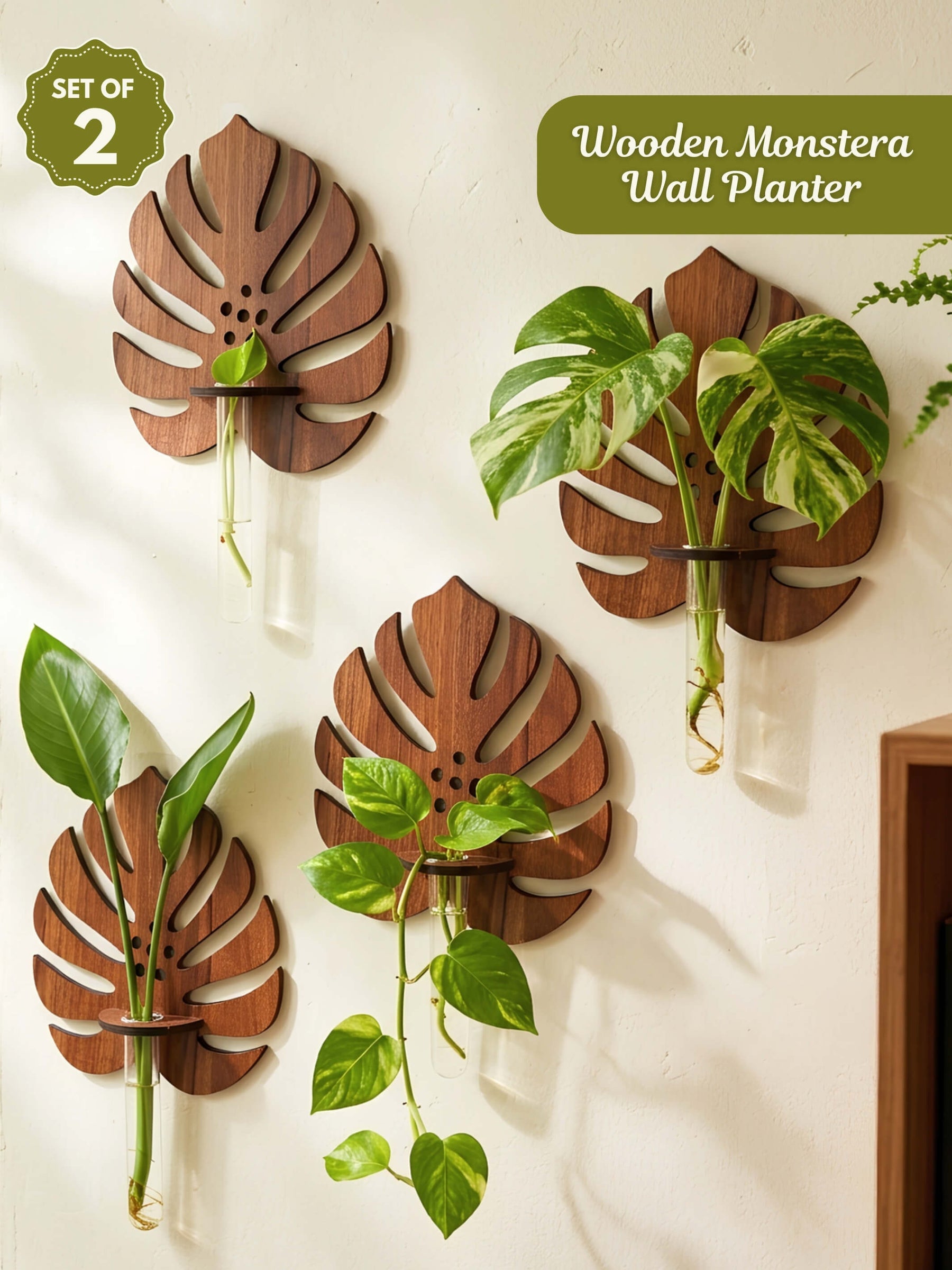 Wooden Monstera Wall Planter - 2 pcs