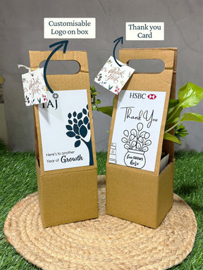 Live Plant with Hanging box - Corporate (Pack of 50)