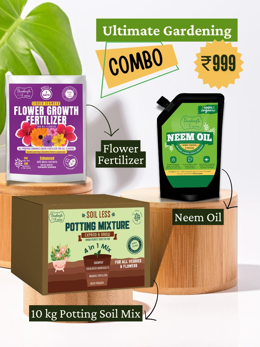 Beginners Kit for Gardening - Organic Soil, Fertilizer, Neem Oil