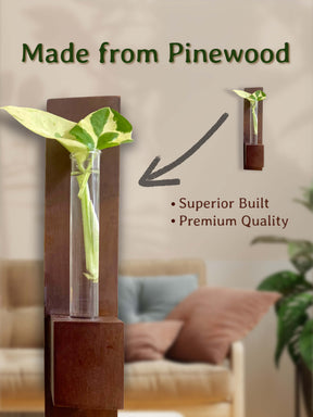 Test Tube Wall Planter in Premium Box (Pack of 50)