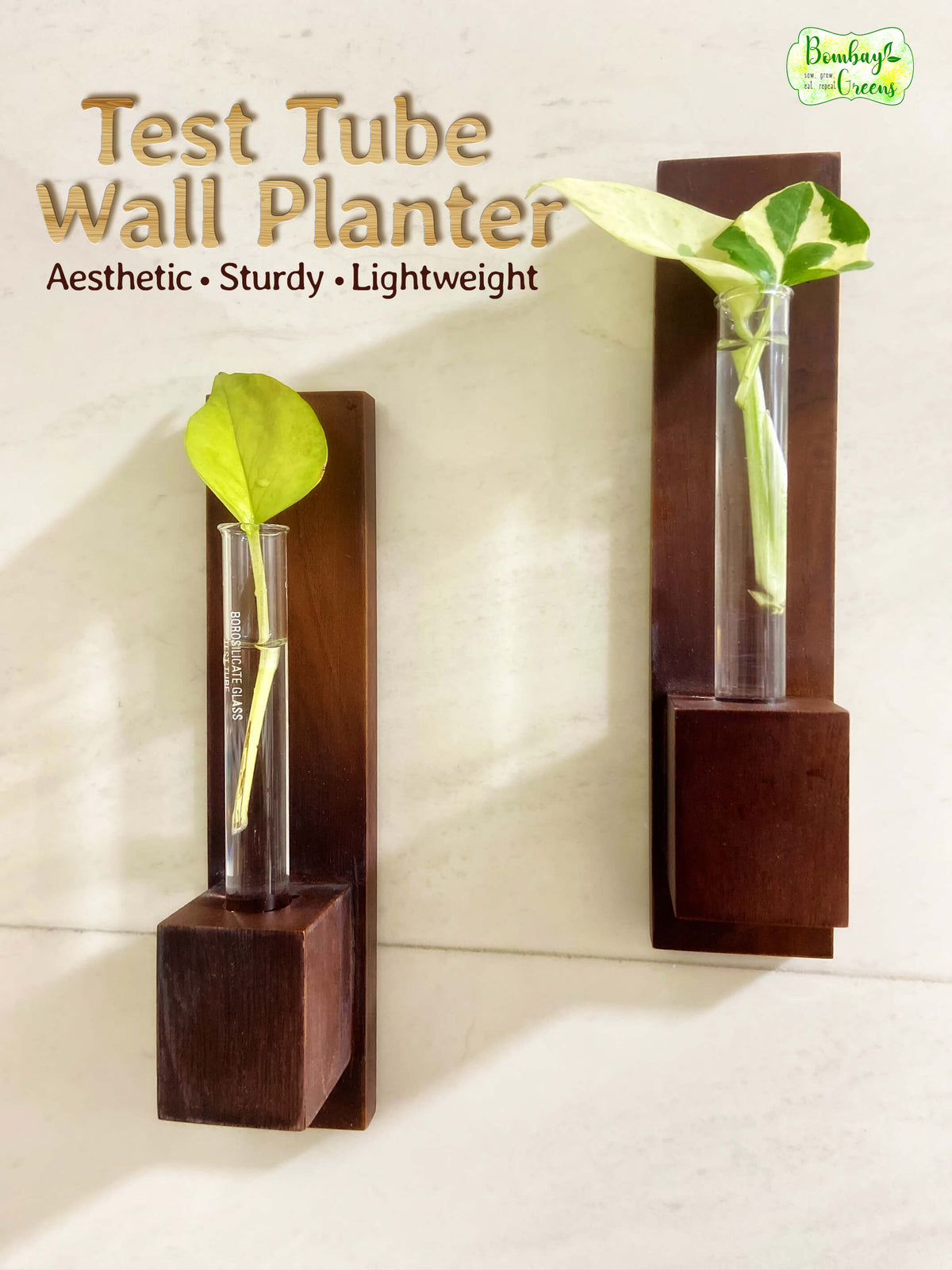 Test Tube Wall Planter with Wooden Holder (set of 2)