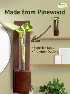 Test Tube Wall Planter with Wooden Holder (set of 2)