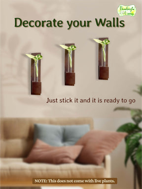 Test Tube Wall Planter with Wooden Holder (set of 2)
