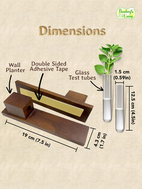 Test Tube Wall Planter with Wooden Holder (set of 2)