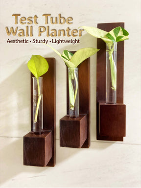 Test Tube Wall Planter with Wooden Holder (set of 3)