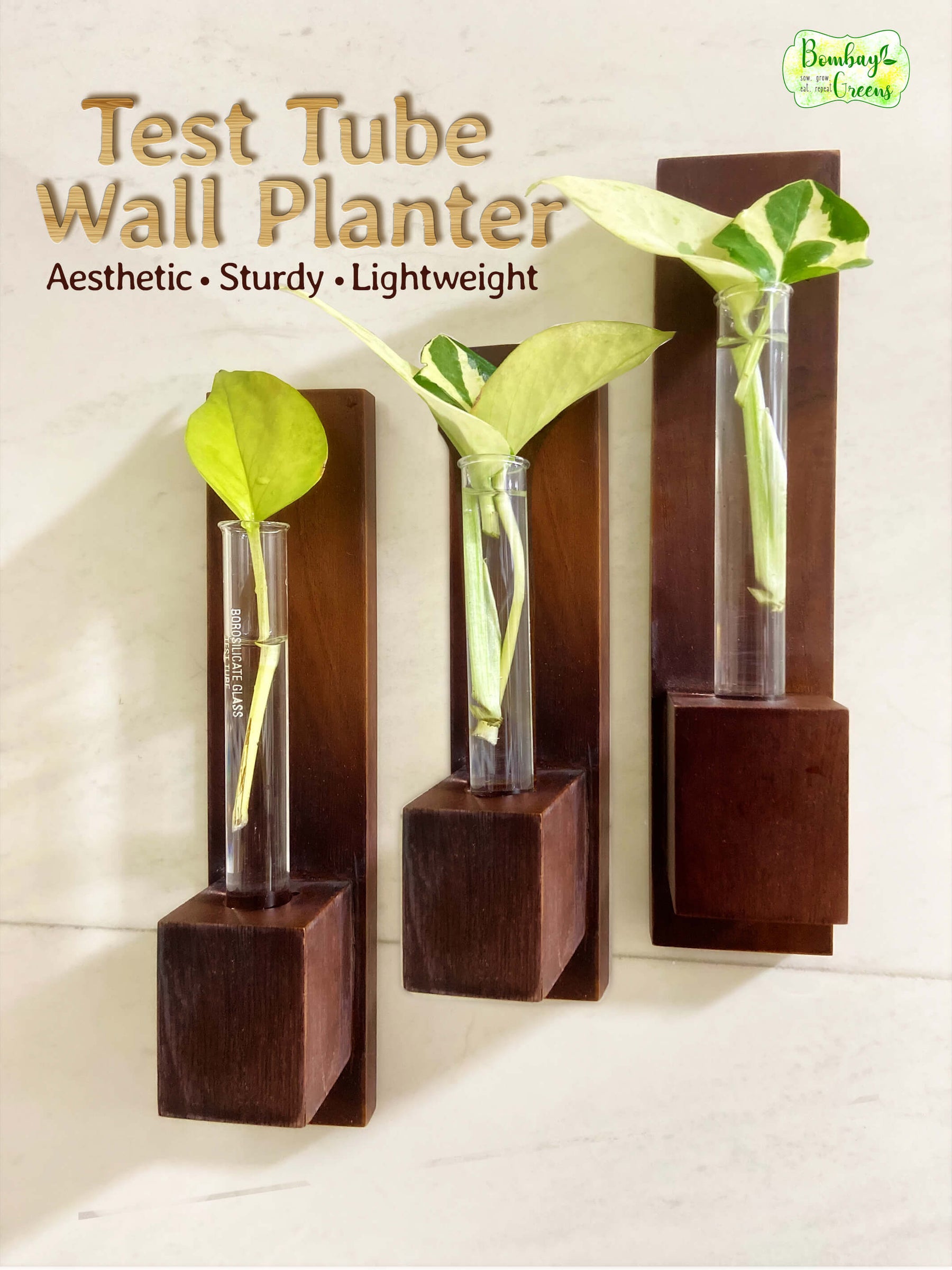 test tube plant hanger Buy Test Tube Wall Planter with Wooden Holder Online