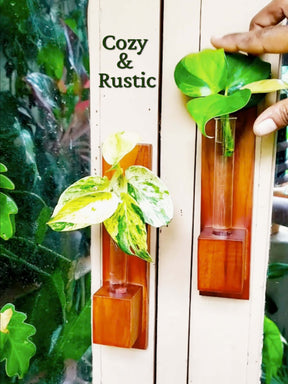 Test Tube Wall Planter with Wooden Holder (set of 3)