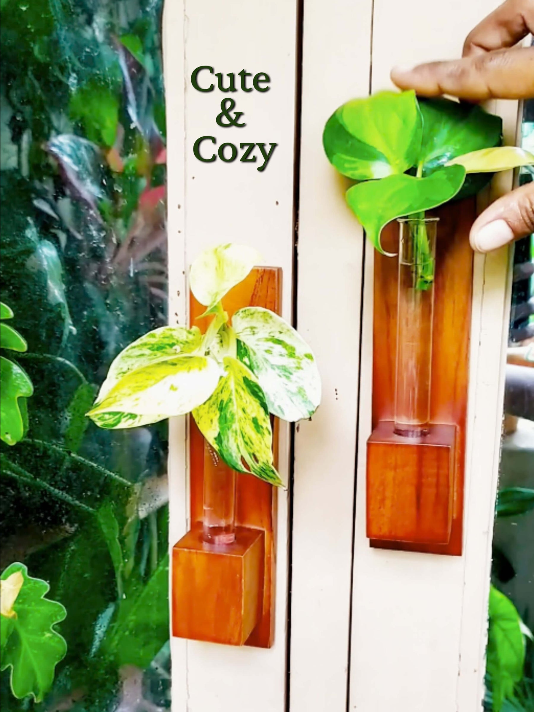 Test Tube Wall Planter with Wooden Holder (set of 3)