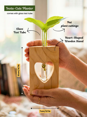 Wooden Planter with Test Tube
