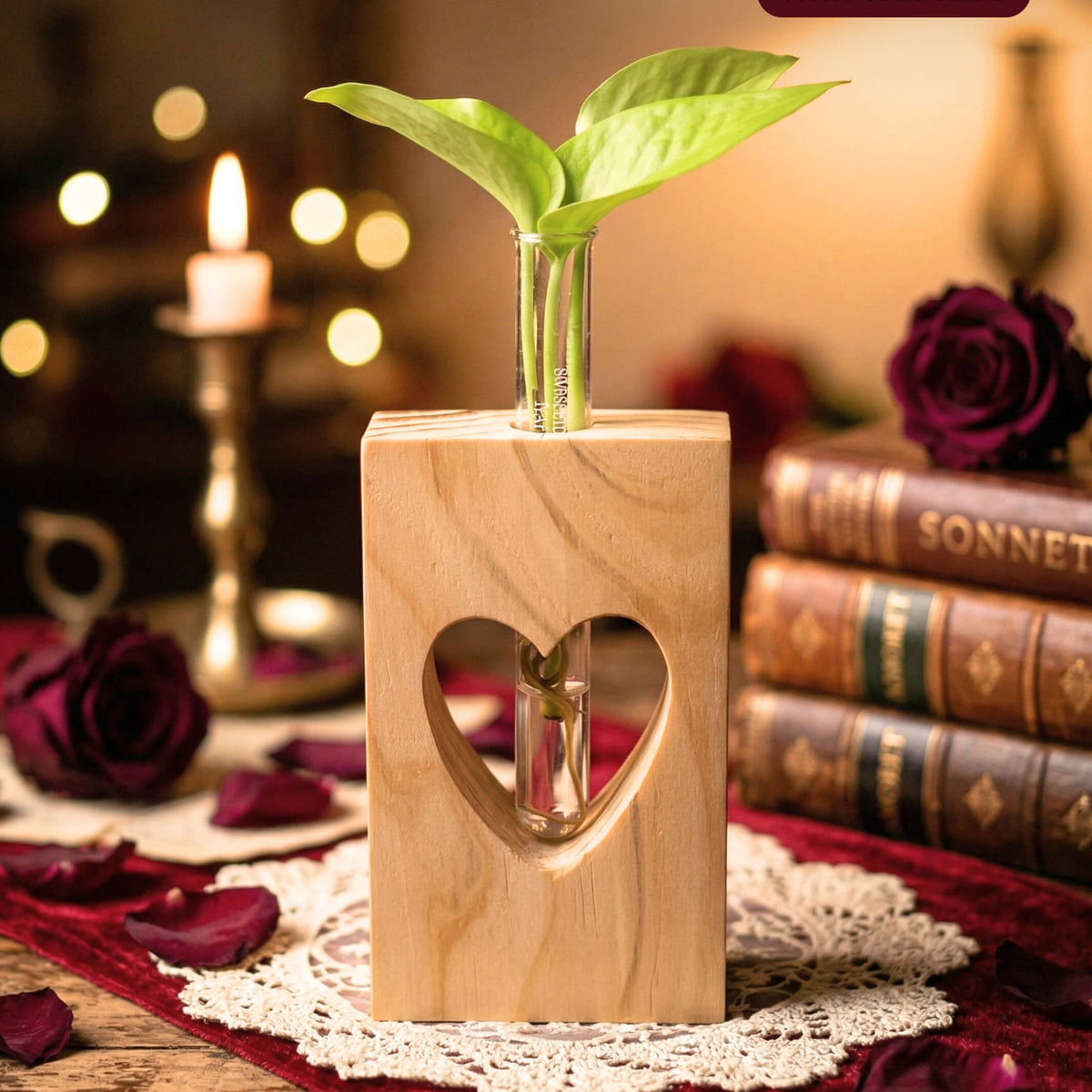 Heart-Shaped Wooden Planter with Test Tube | Bombay Greens