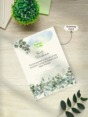 Zebra-Plant-Corporate (Pack of 50)