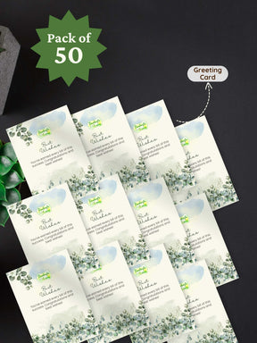 Zebra-Plant-Corporate (Pack of 50)