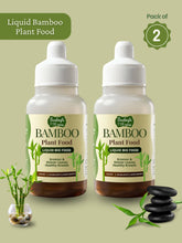 Liquid Bamboo Plant Food | Pack of 2
