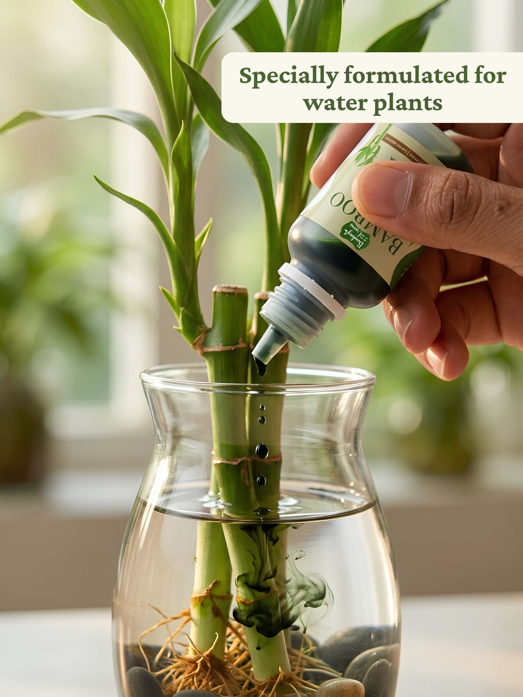 Liquid Bamboo Plant Food | Pack of 2