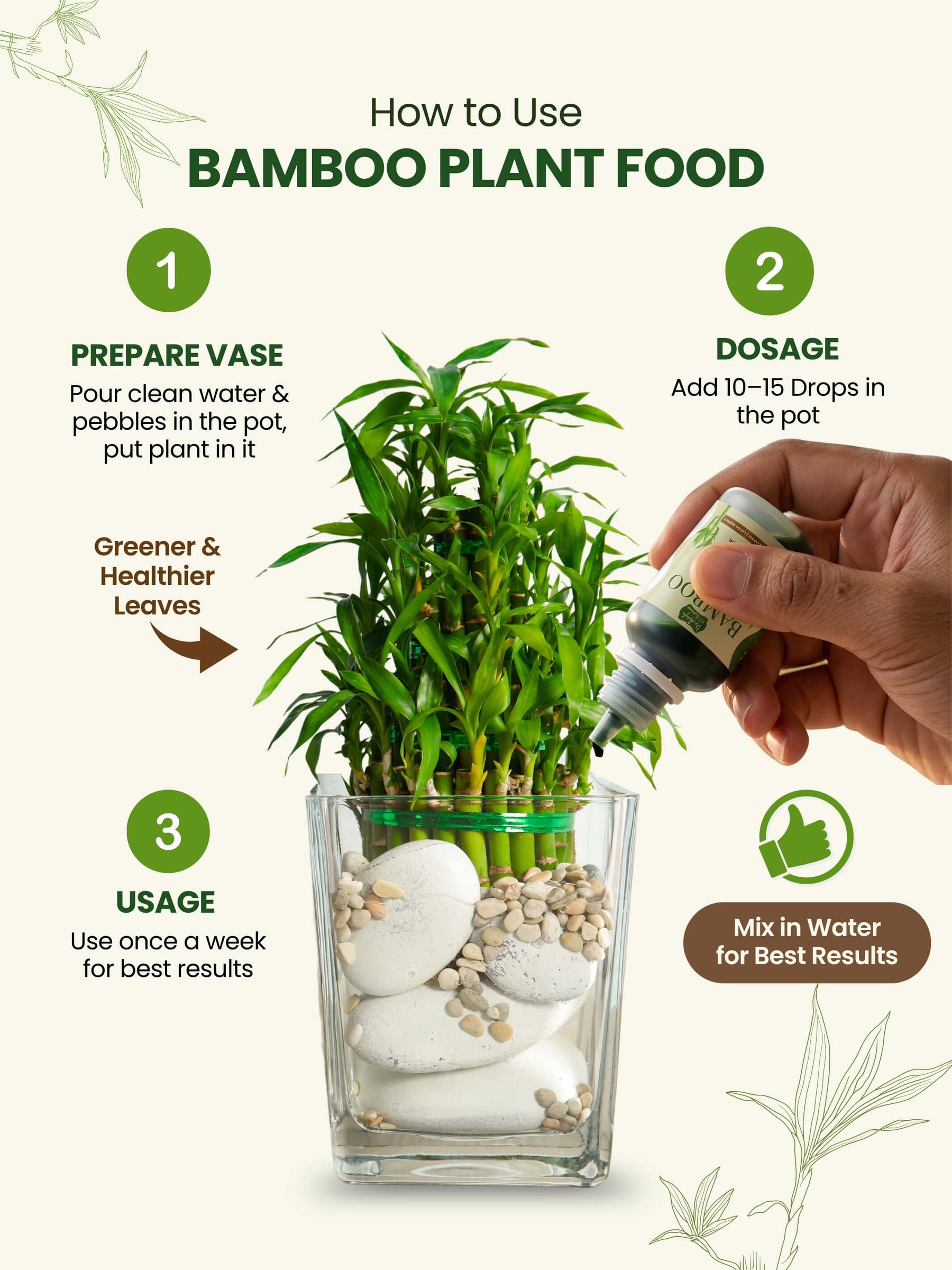Liquid Bamboo Plant Food | Pack of 2
