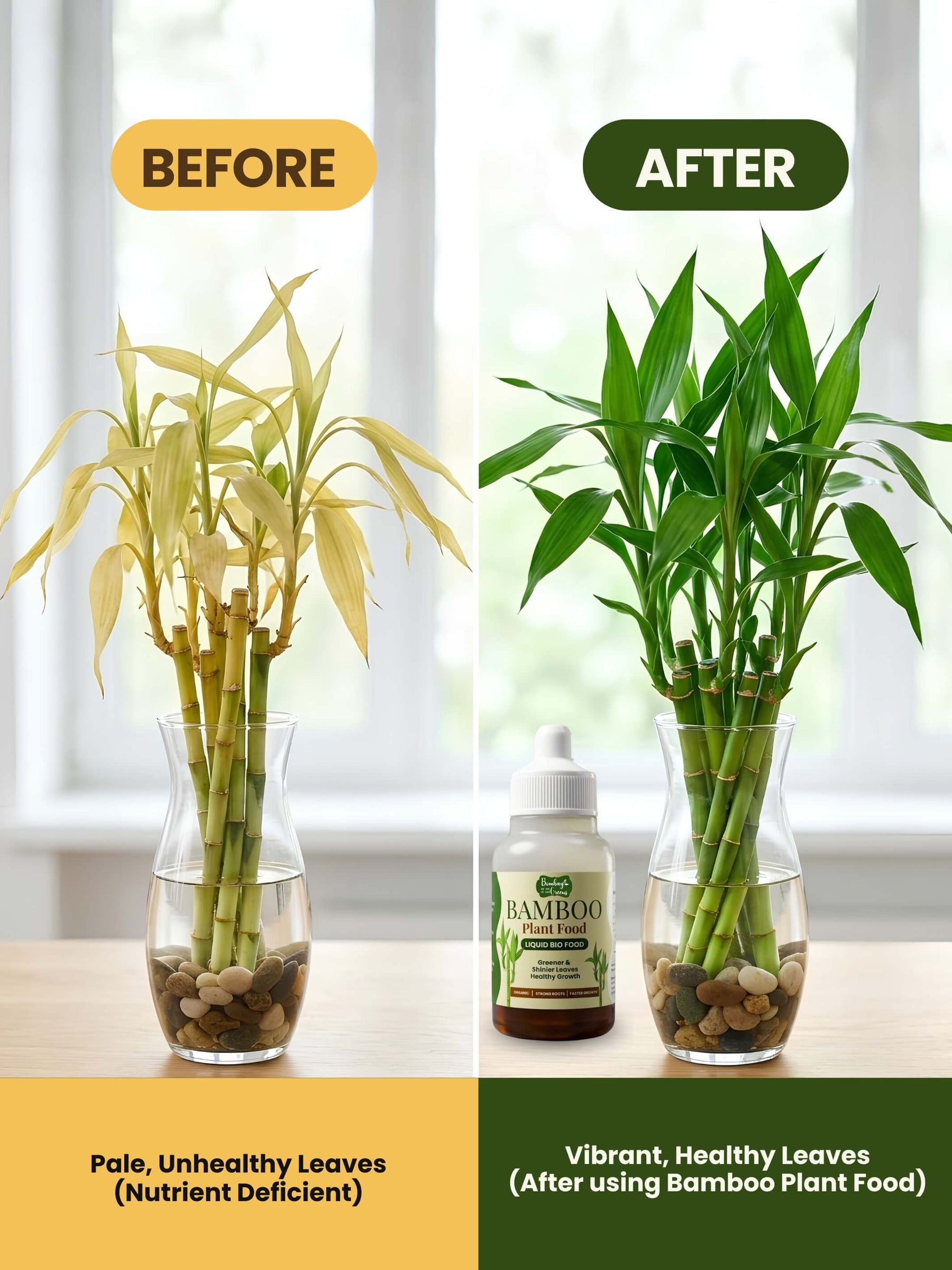 Liquid Bamboo Plant Food | Pack of 2