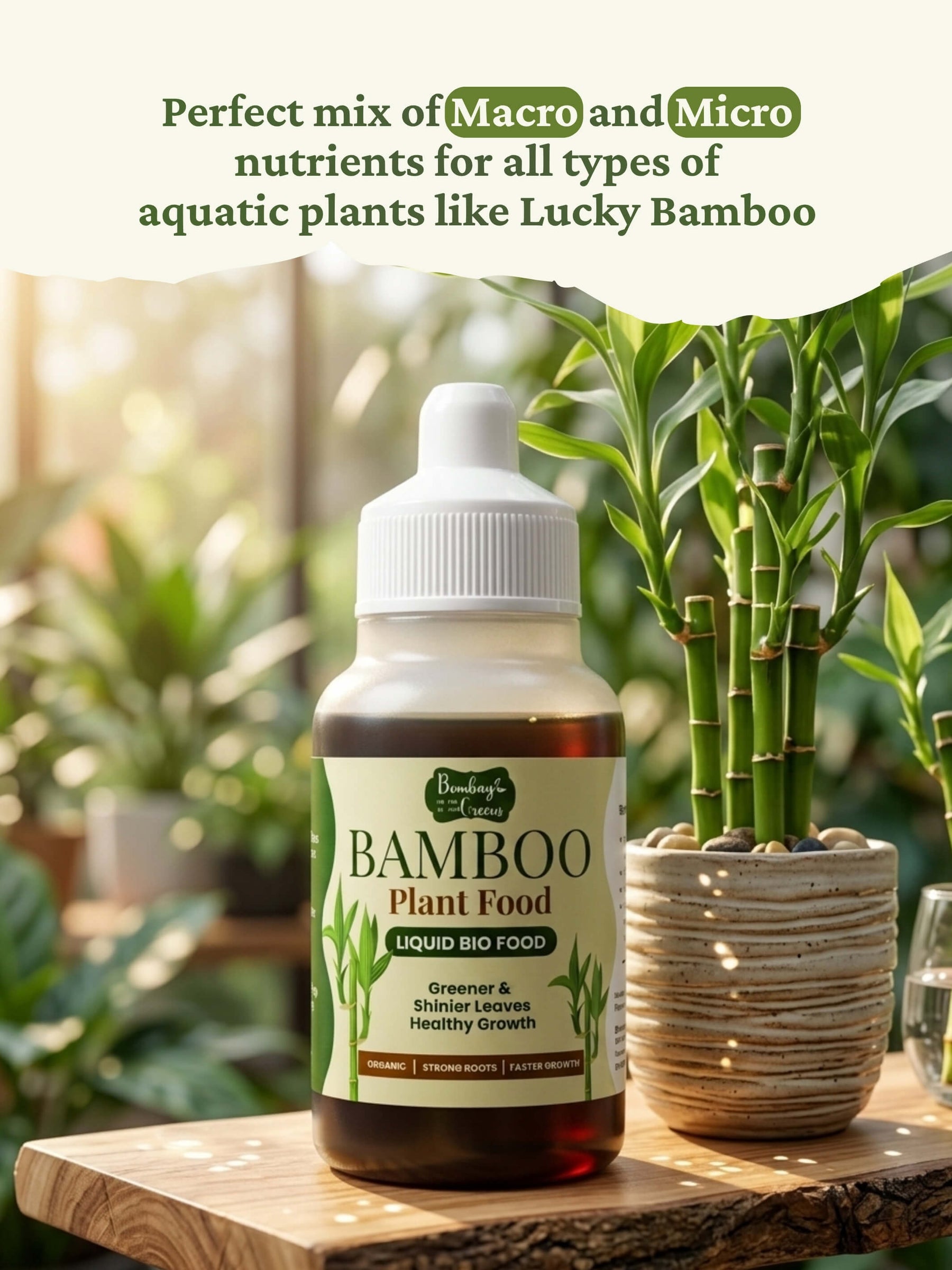 Liquid Bamboo Plant Food | Pack of 2