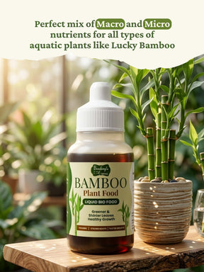 Liquid Bamboo Plant Food | Pack of 2
