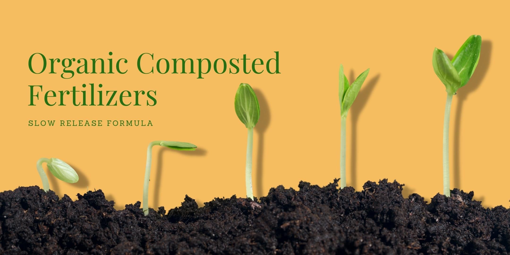 vermicompost price,cow manure,best fertilizer for flowering plants,manure for plants,indoor plant fertilizer,organic fertilizer price,buy fertilizer online,fruit tree fertilizer,organic plant nutrients,Fertilizers for Indoor Plants
