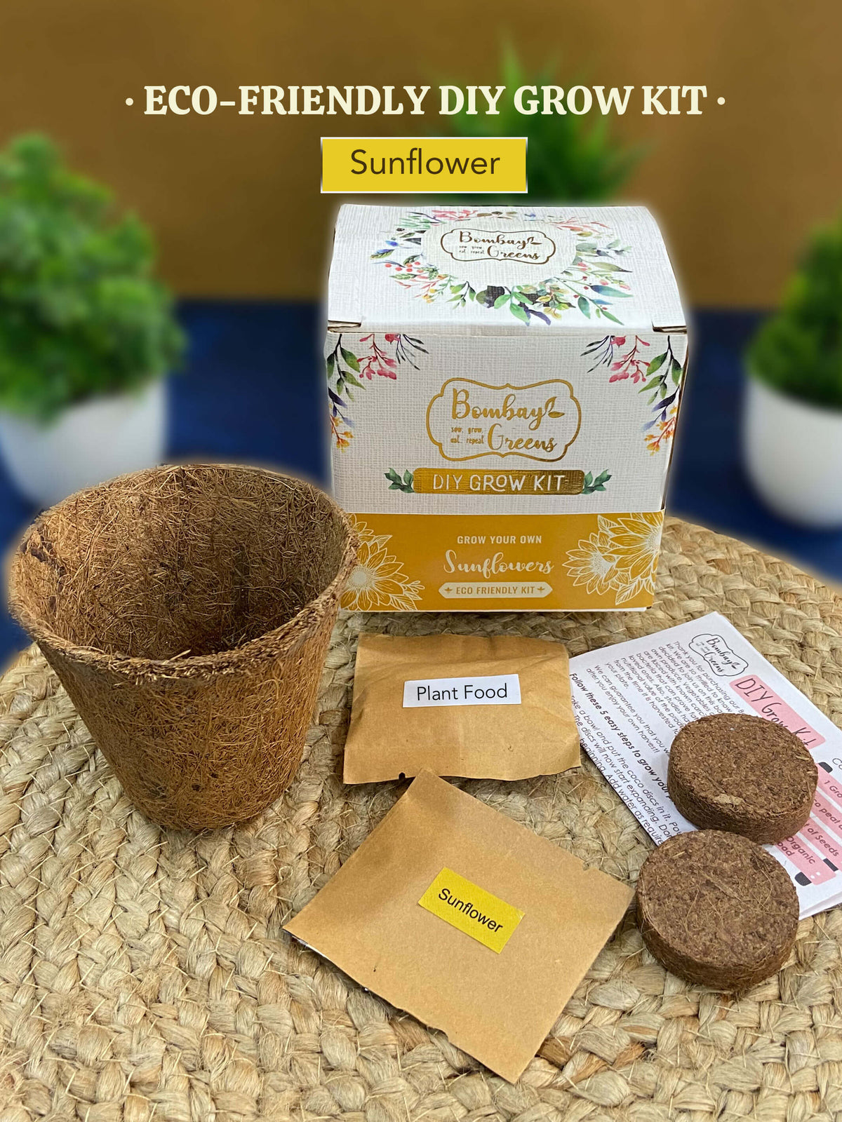 Eco-Friendly Grow Kit - Sunflower