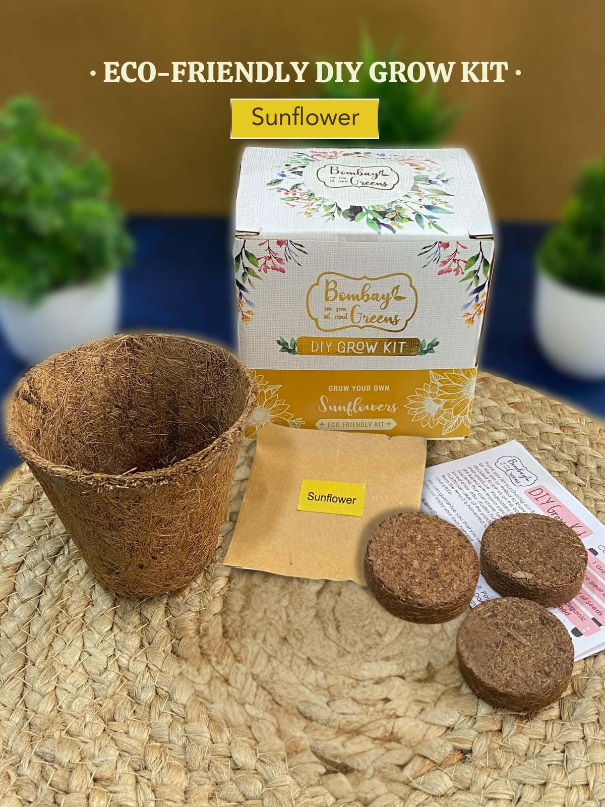 Eco-Friendly Grow Kit - Sunflower