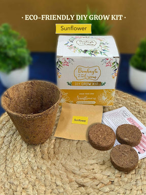 Eco-Friendly Grow Kit - Sunflower