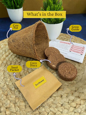 Eco-Friendly Grow Kit - Sunflower