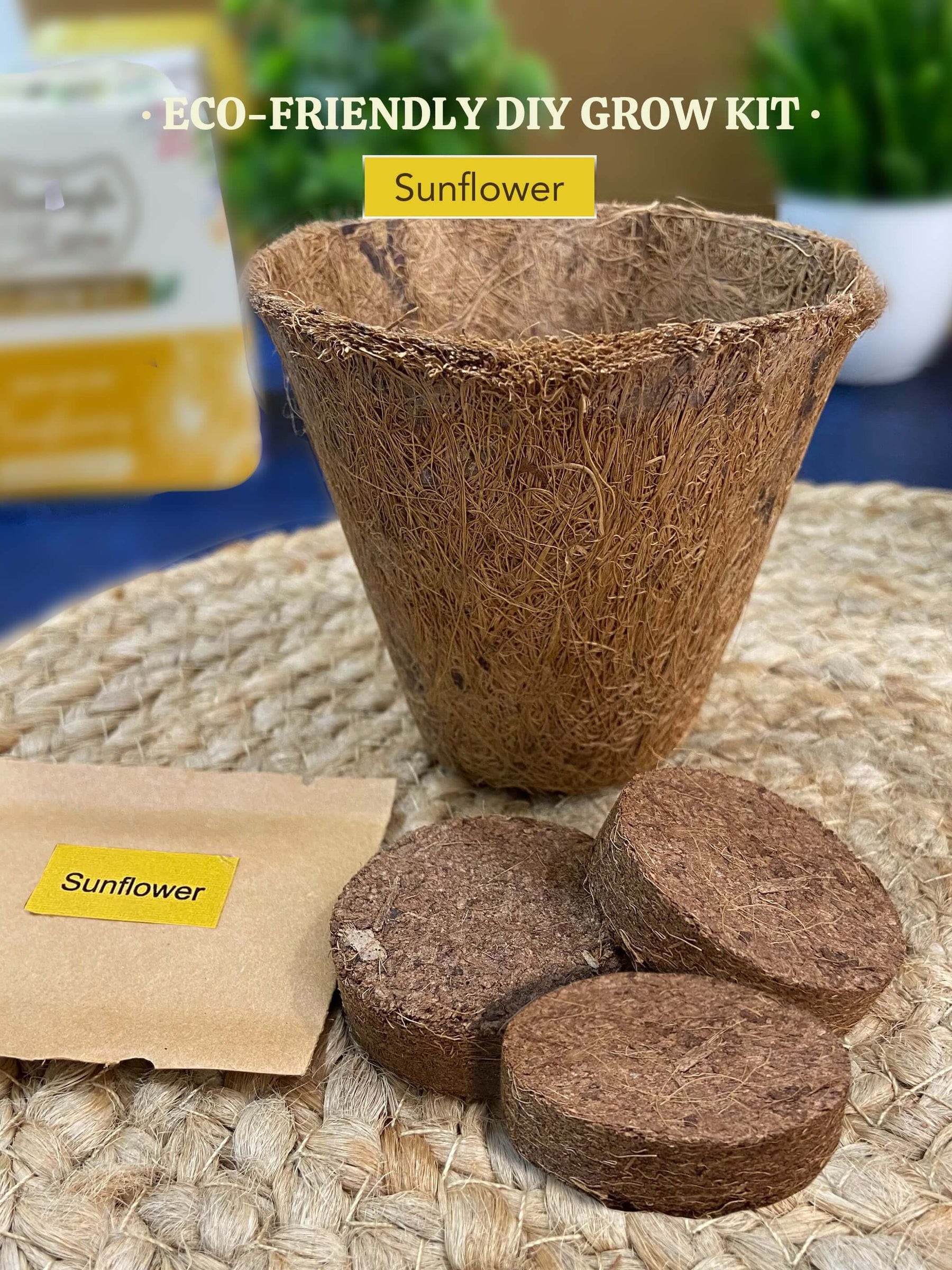 Eco-Friendly Grow Kit - Sunflower