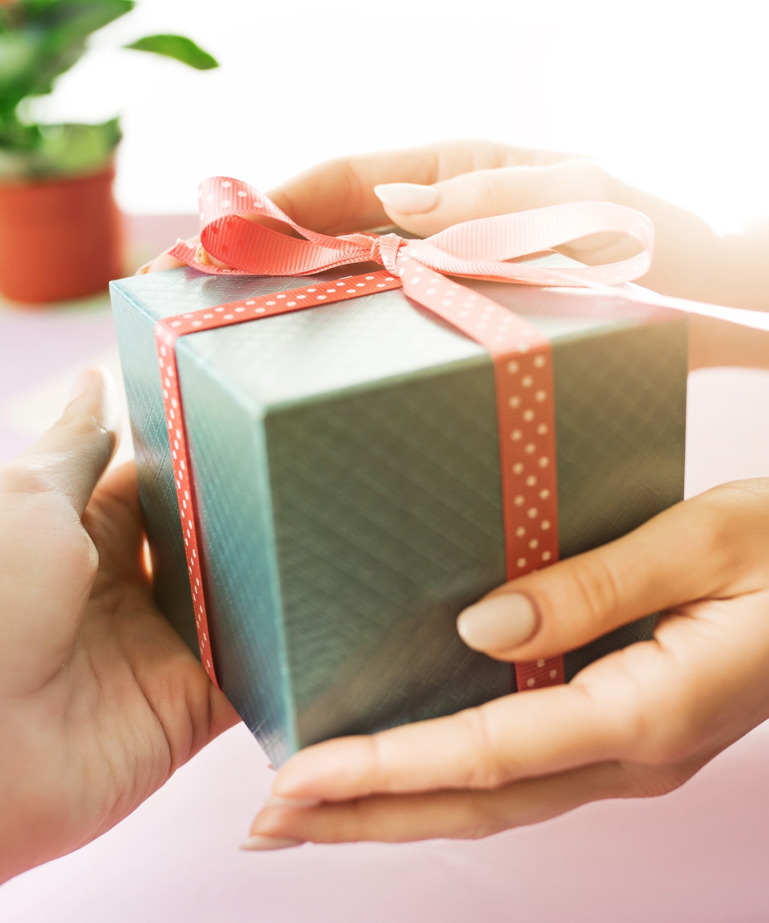 gardening gift ideas
