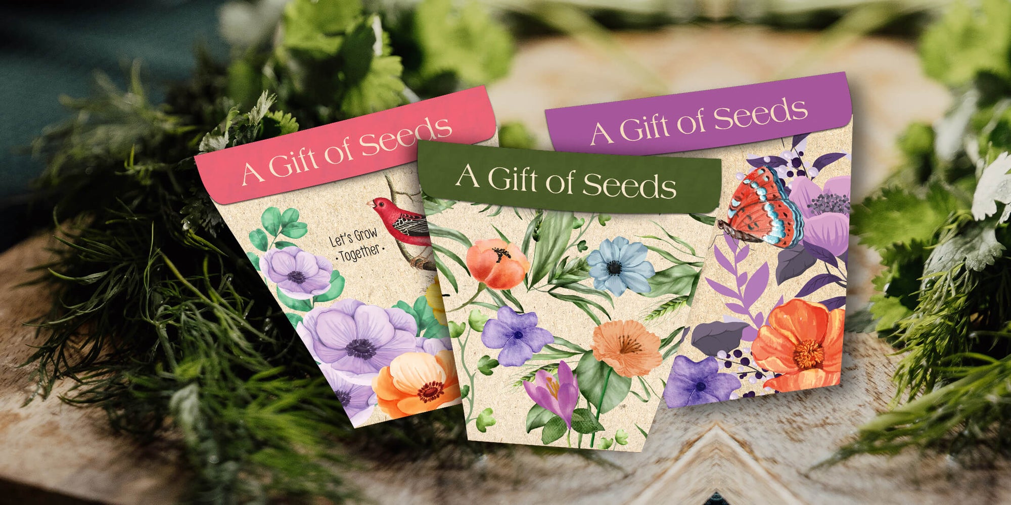 Seed Kit Buy Plant Seeds Online at Best Price Bombay Greens