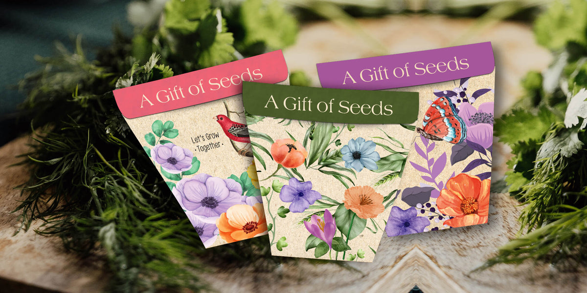 Seed Kit - Buy Plant Seeds Online at Best Price | Bombay Greens