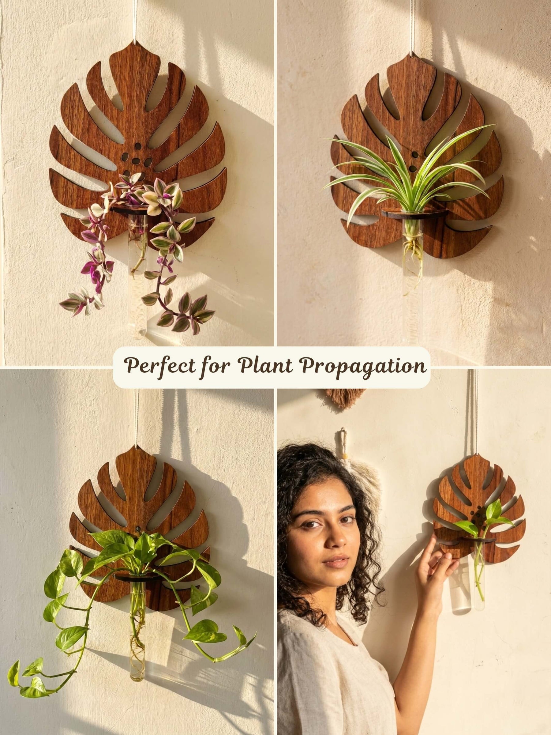 Wooden Monstera Test Tube Planter