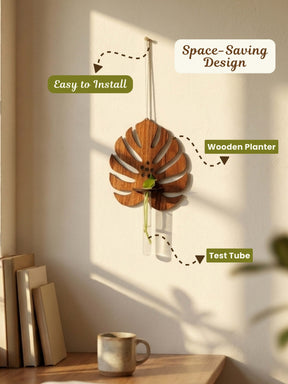 Wooden Monstera Test Tube Planter