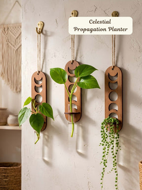 Moon Phase Wooden Wall Planter - 1 pc