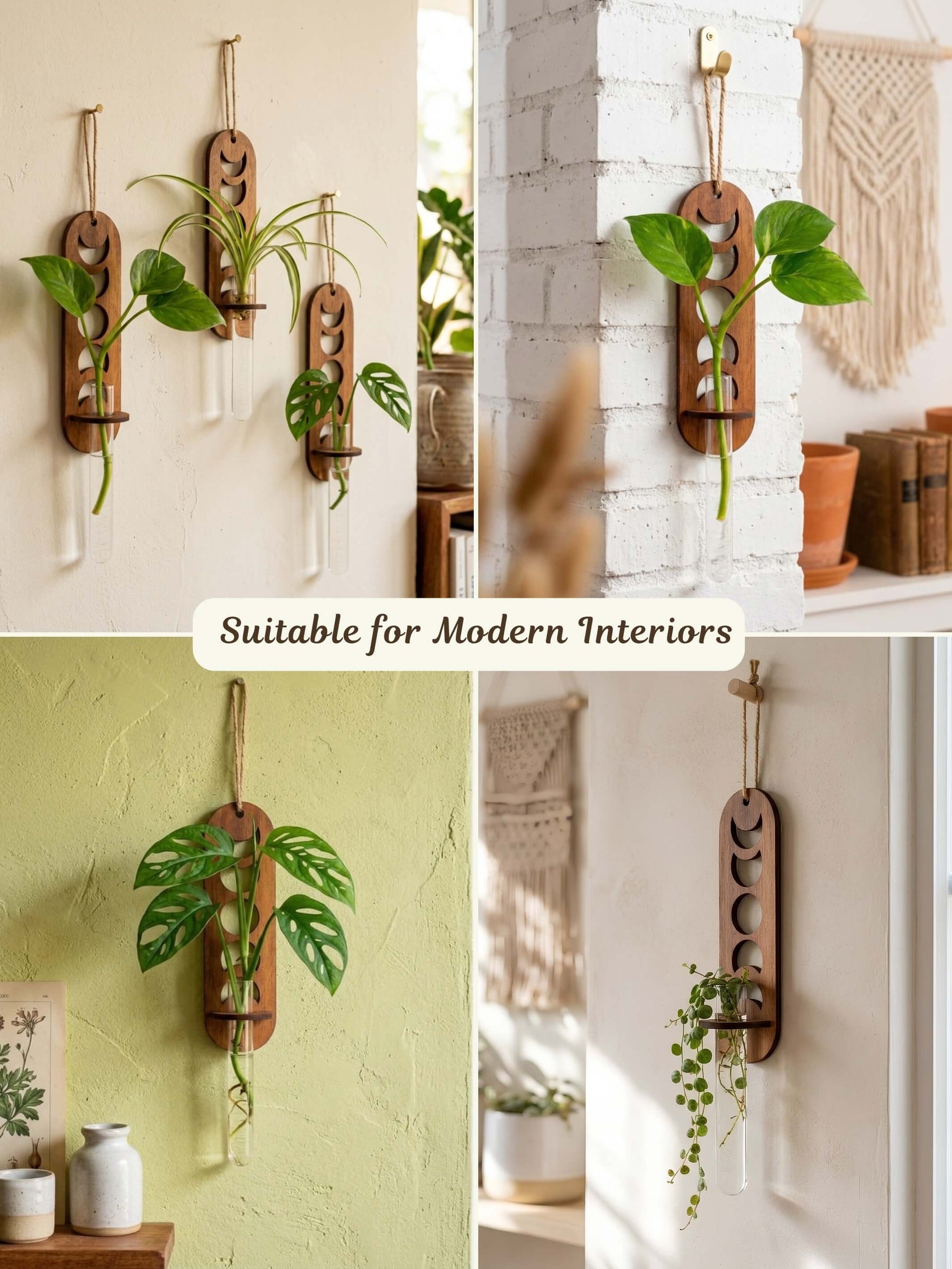 Moon Phase Wooden Wall Planter - 1 pc