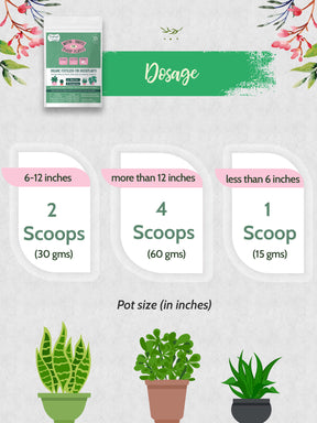 Organic Fertilizer for Indoor Plants - Nutri Shots for House Plants