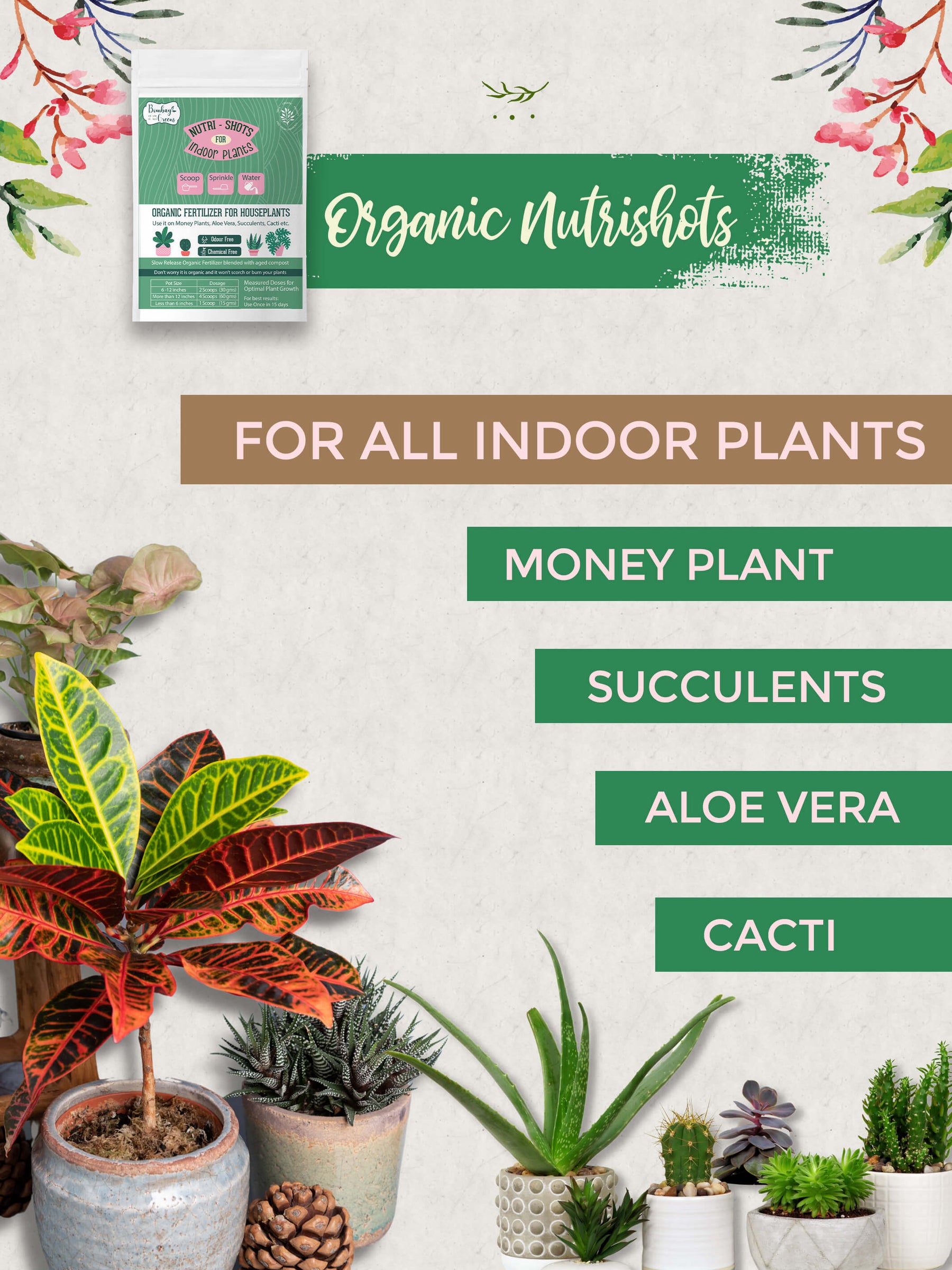 best fertilizer ratio for indoor plants Indoor Plant Fertilizer - Best Fertilizer for Plants