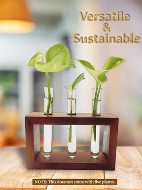 Test Tube Planter with Wooden Holder