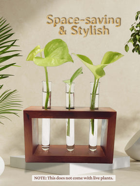 Test Tube Planter with Wooden Holder