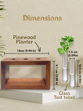 Test Tube Planter with Wooden Holder